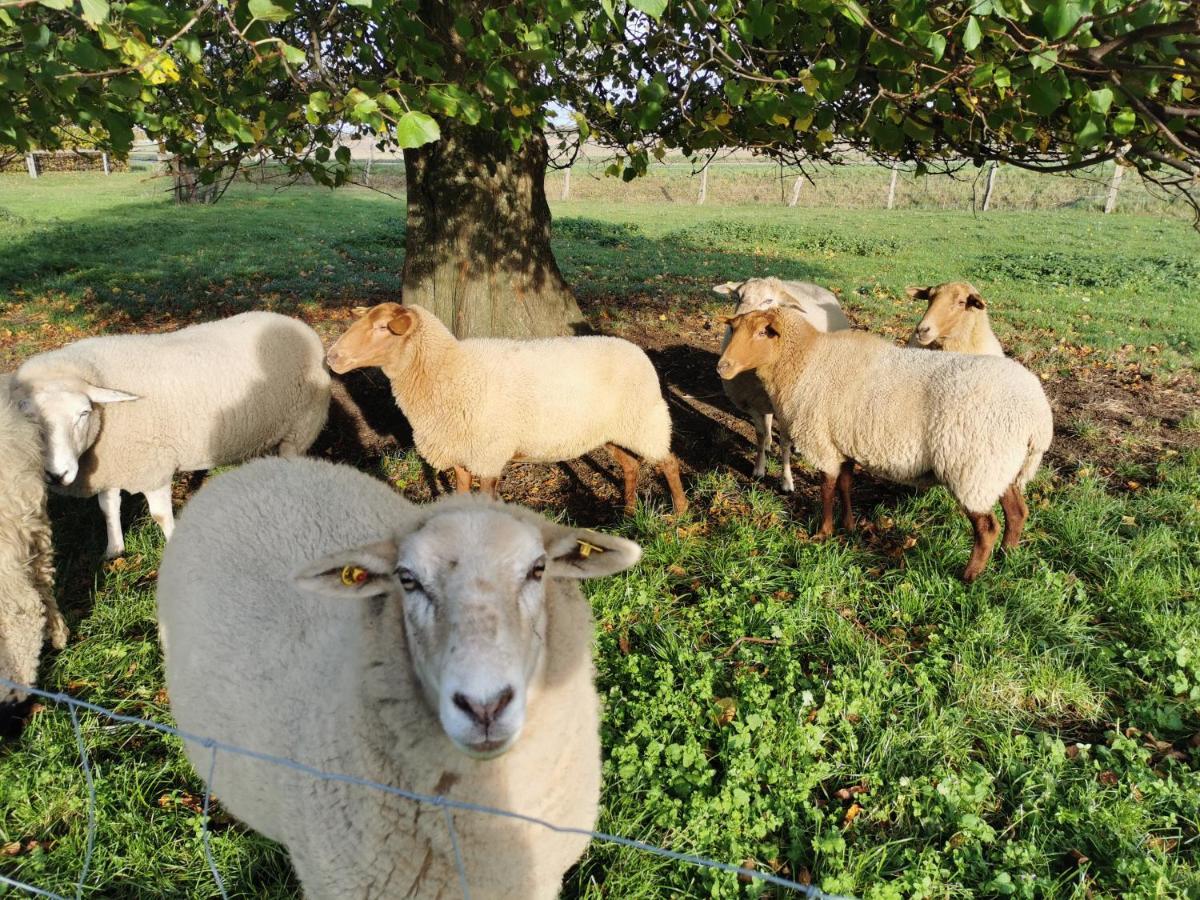 Ferienhof Stobbe Grube Exteriör bild