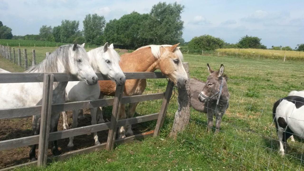 Ferienhof Stobbe Grube Exteriör bild
